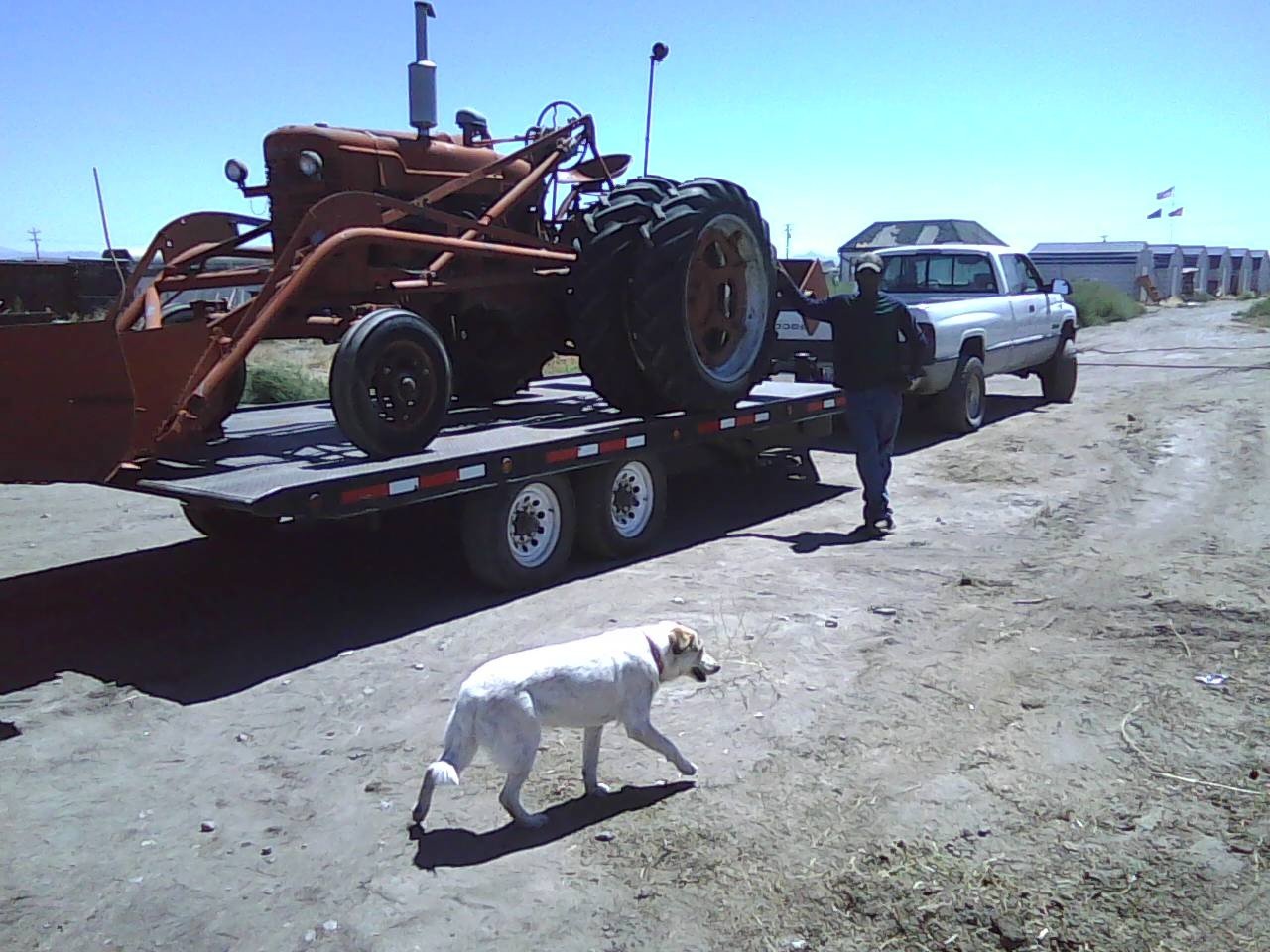 Sweeting Ranch in Loyalton, CA (4)