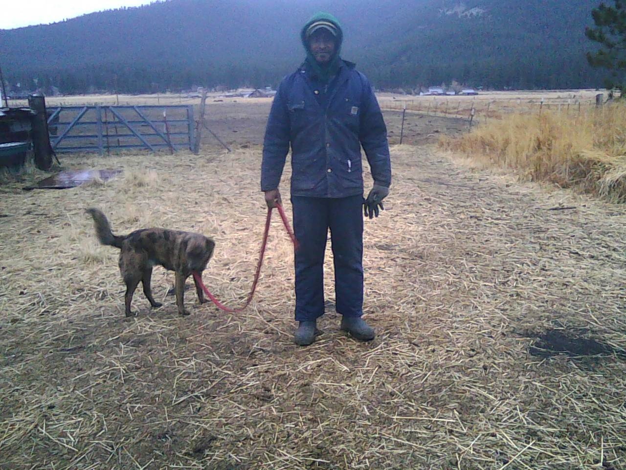 Sweeting Ranch in Loyalton, CA (6)