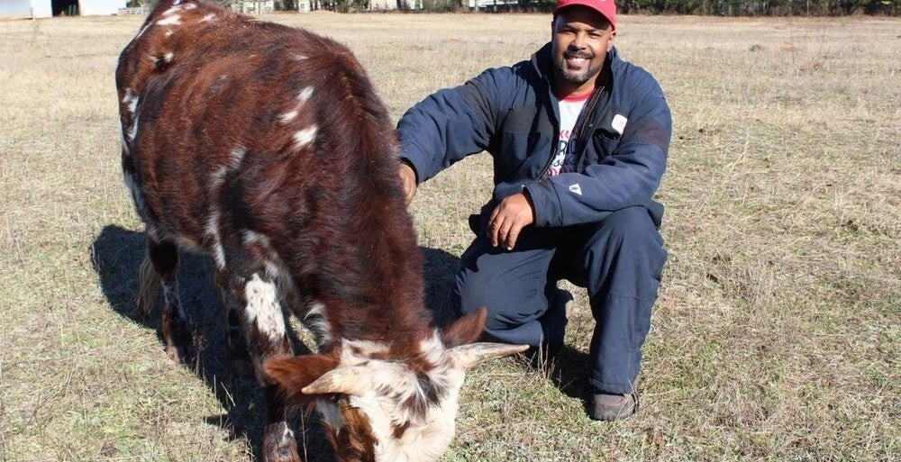 Swanson Family Farm in Hampton, GA