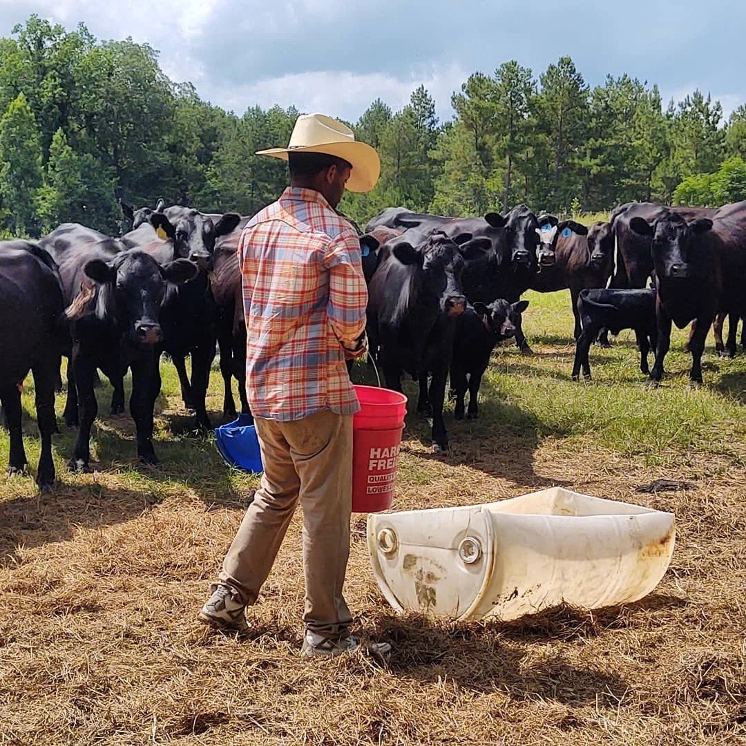 HK Farm in Cobbtown, GA