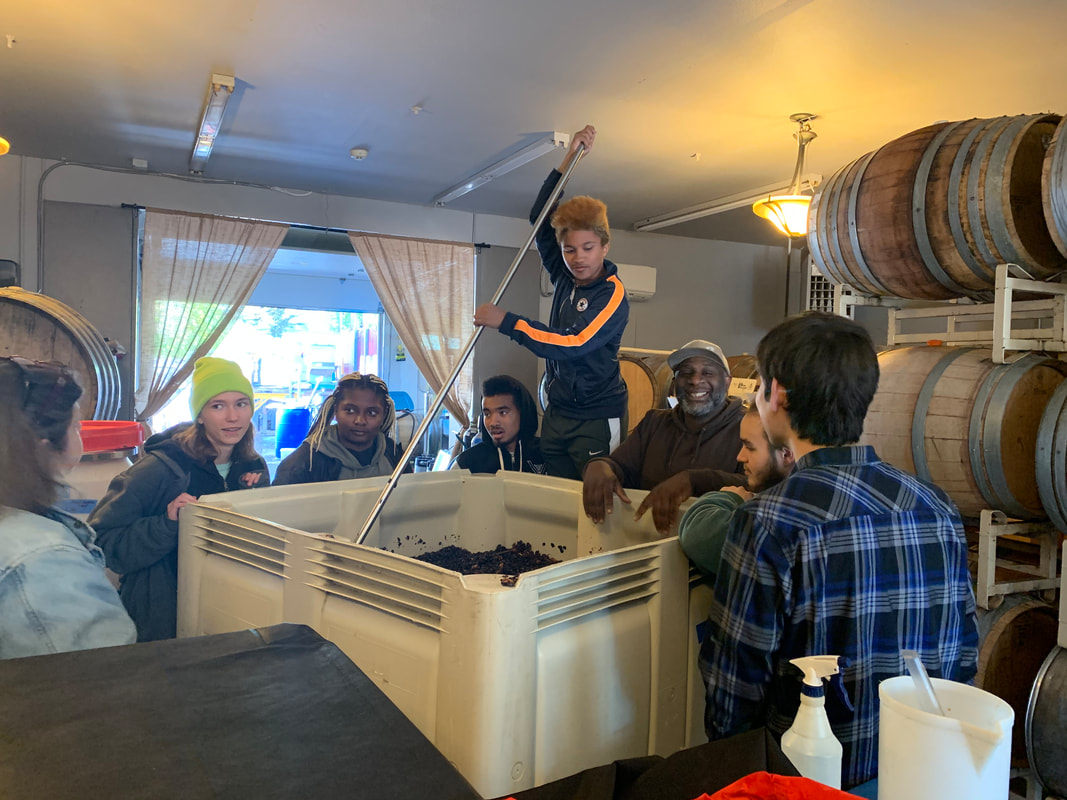 Abbey Creek Vineyard in North Plains, OR (6)