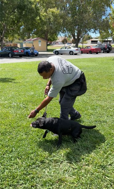 PowerHouseK9 in Benicia, CA