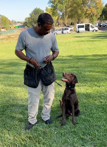 PowerHouseK9 in Benicia, CA (2)