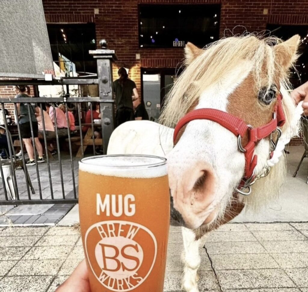 BS Brew Works in Springfield, TN (3)
