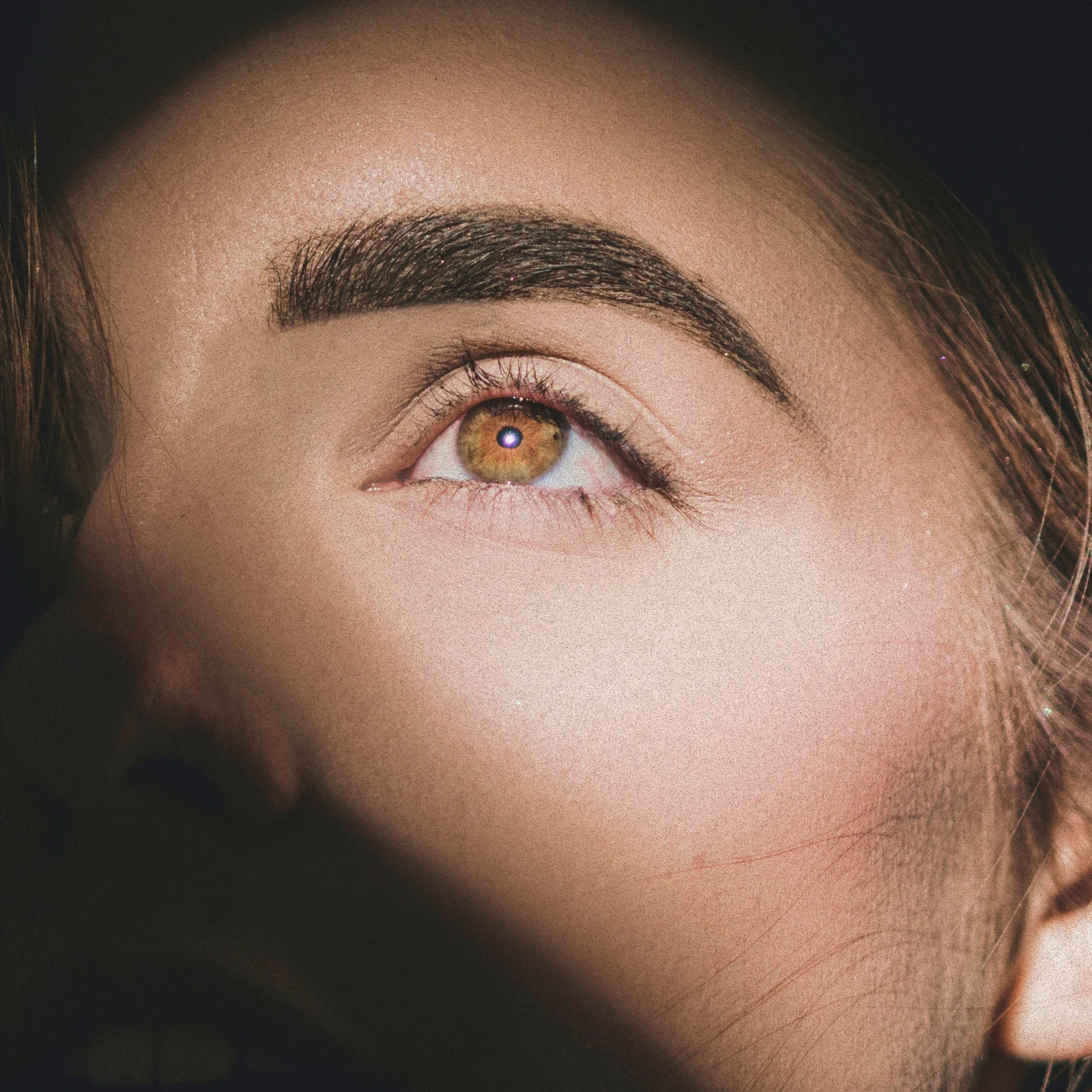 Midwest Wax & Brow in Chardon, OH (2)
