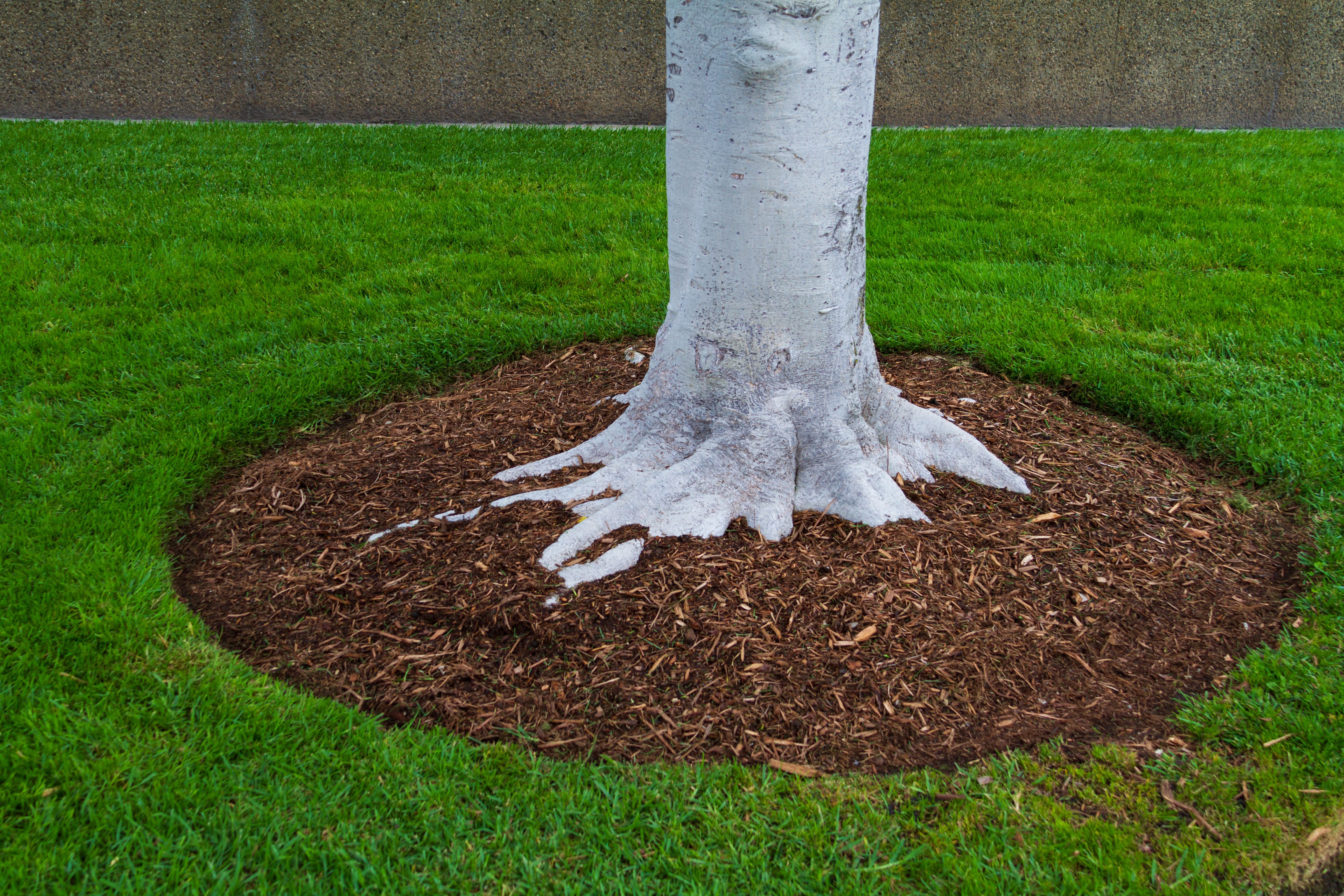 Major Landscaping & Firewood Supplier in Suwanee, GA (2)