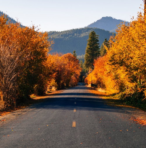 Siskiyou Realty Group Inc. in Yreka, CA (5)