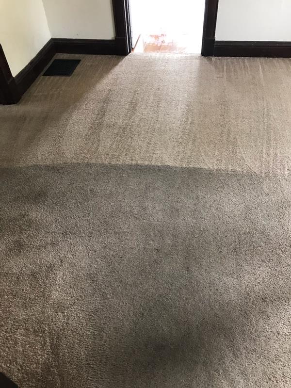 Gem's Carpet Cleaning Plus, L.L.C. in Pontiac, IL (2)