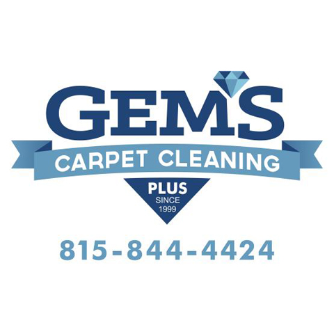 Gem's Carpet Cleaning Plus, L.L.C. in Pontiac, IL (3)