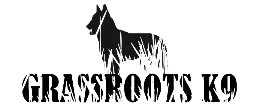 Grassroots K9 Maryland in Perryville, MD (2)