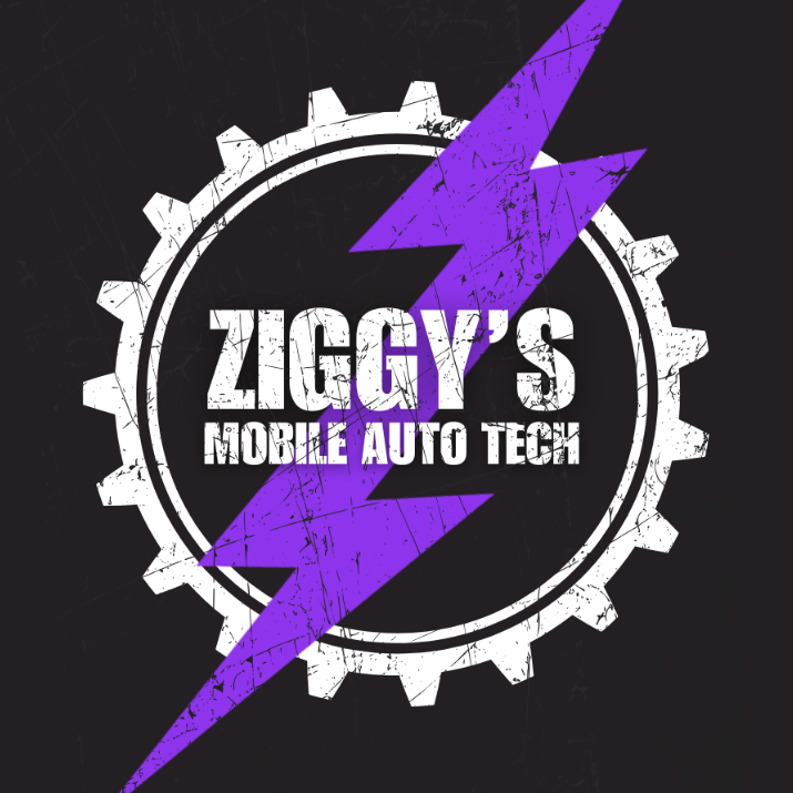 Ziggy's Mobile Auto Tech (Mechanic) in Sandy Springs, GA (4)