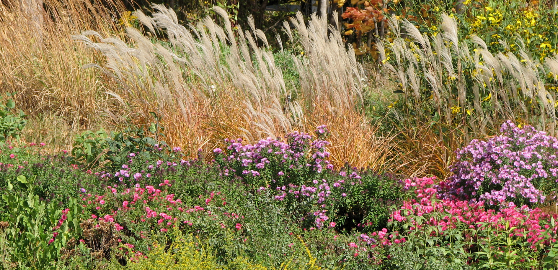 Heidi's GrowHaus & Lifestyle Gardens in Corcoran, MN (2)