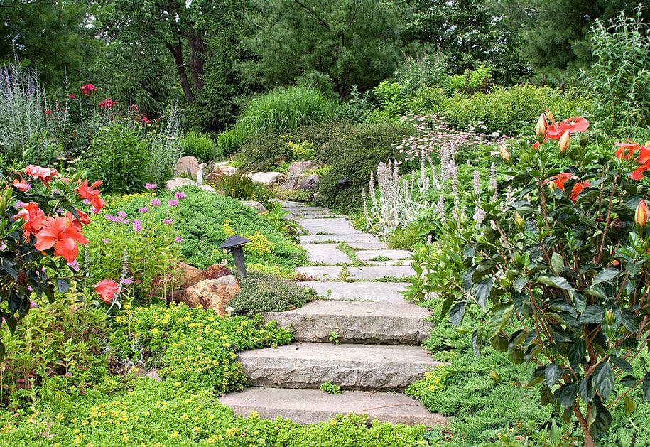 Heidi's GrowHaus & Lifestyle Gardens in Corcoran, MN (6)