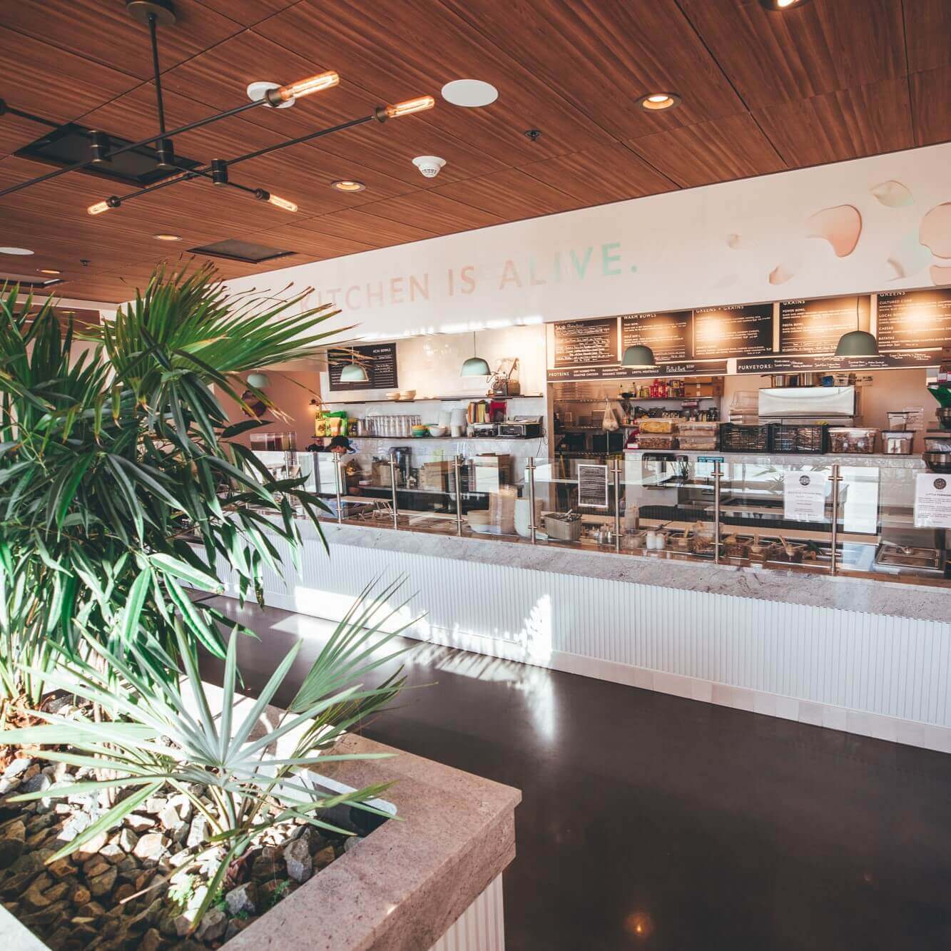 Forage Kitchen in Champaign, IL (4)