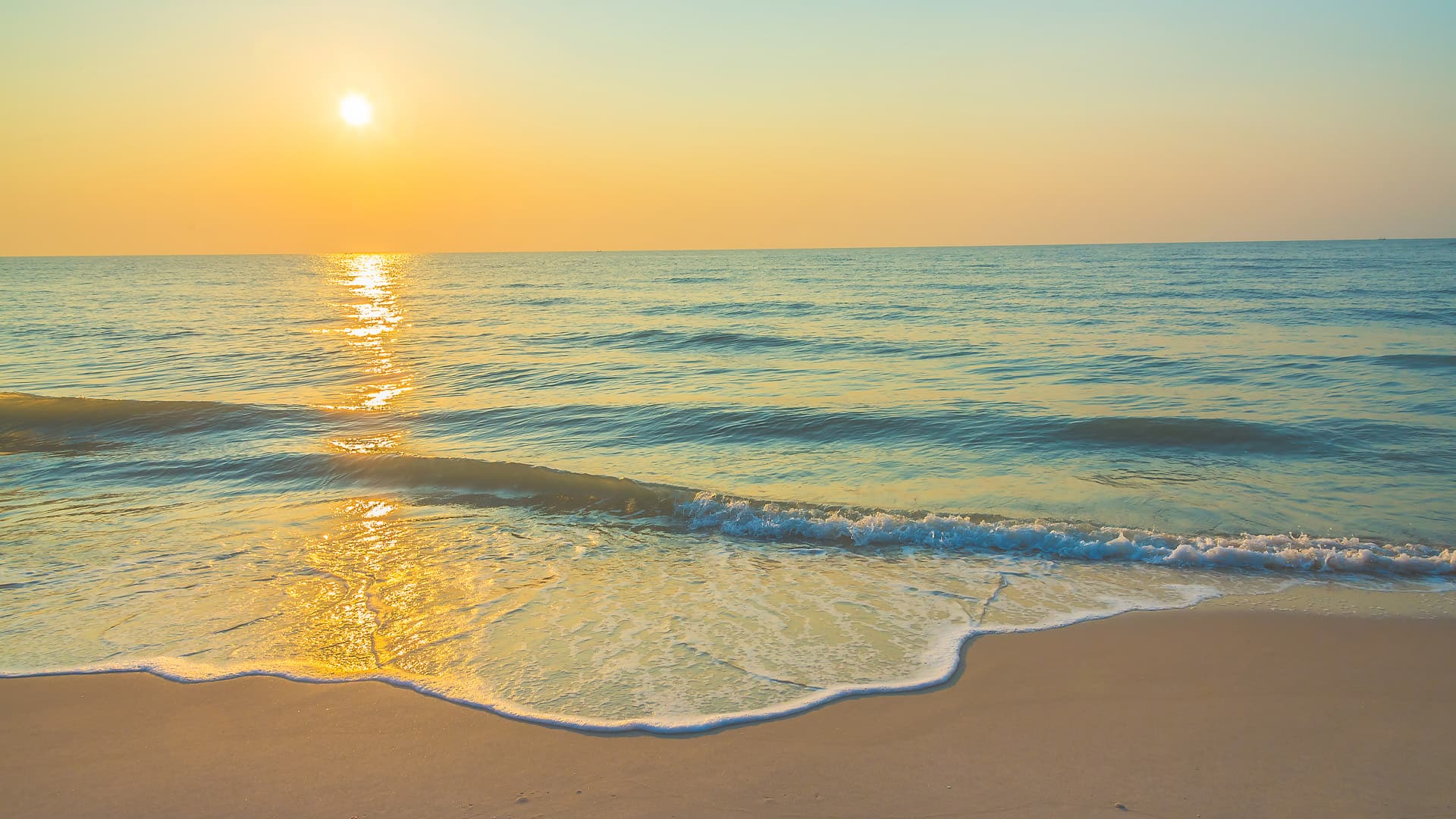 Wagner Realty, Anna Maria Island Rentals & Property Management in Holmes Beach, FL (3)