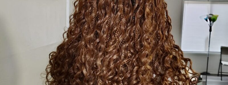 Shalom African Hair Braiding - (Shalom Braids) in Virginia Beach, VA