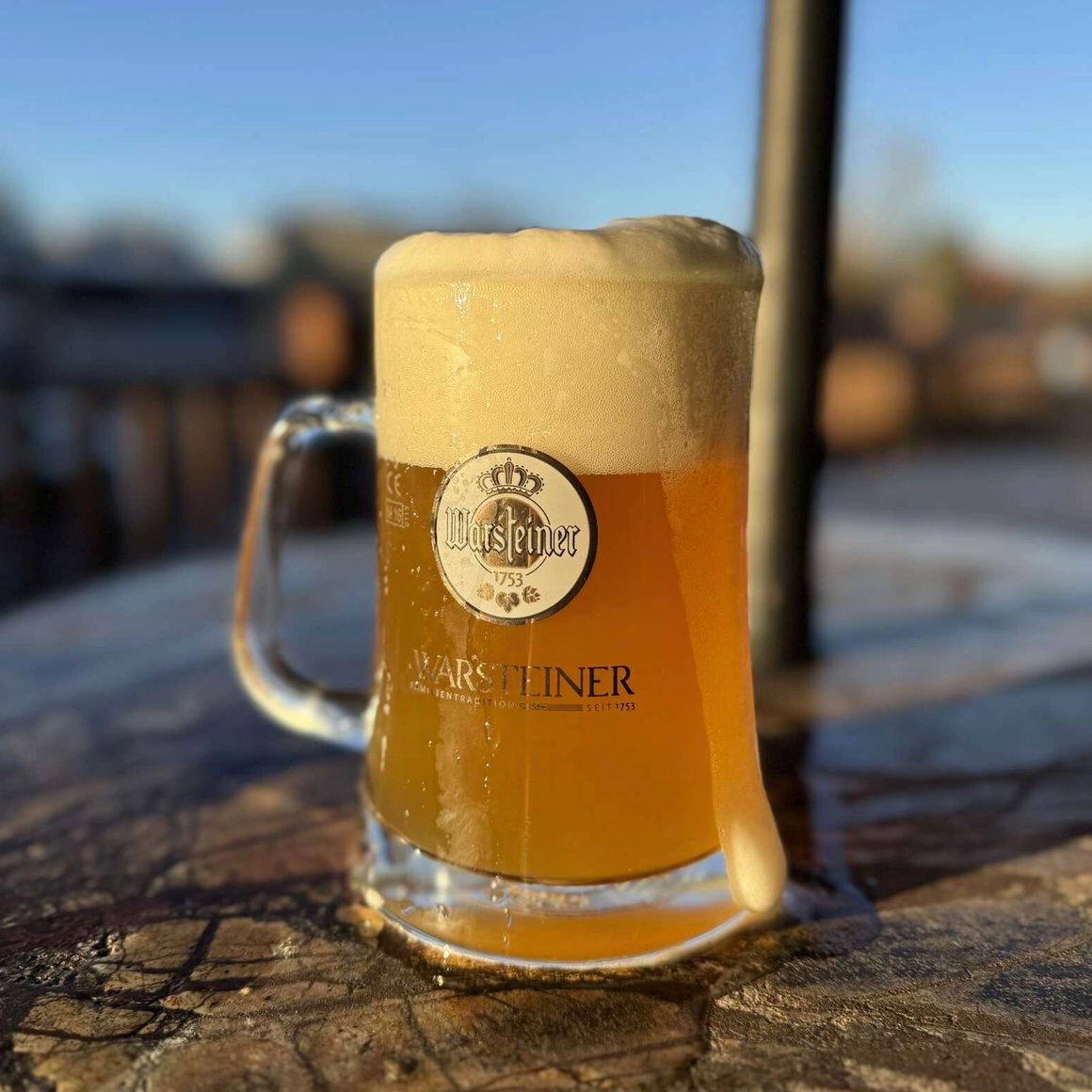 Black Bear Bier Garten in Blue Ridge, GA (3)