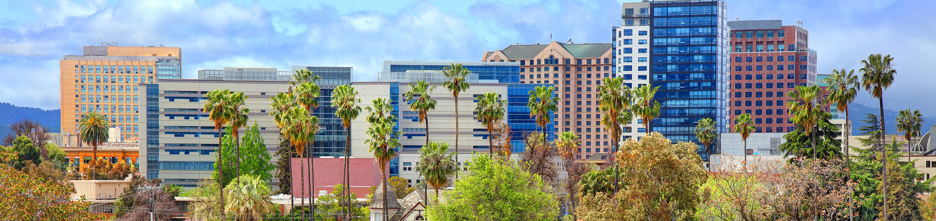 Theresa Wellman - Realtor, Homeowner Experience in San Jose, CA (2)