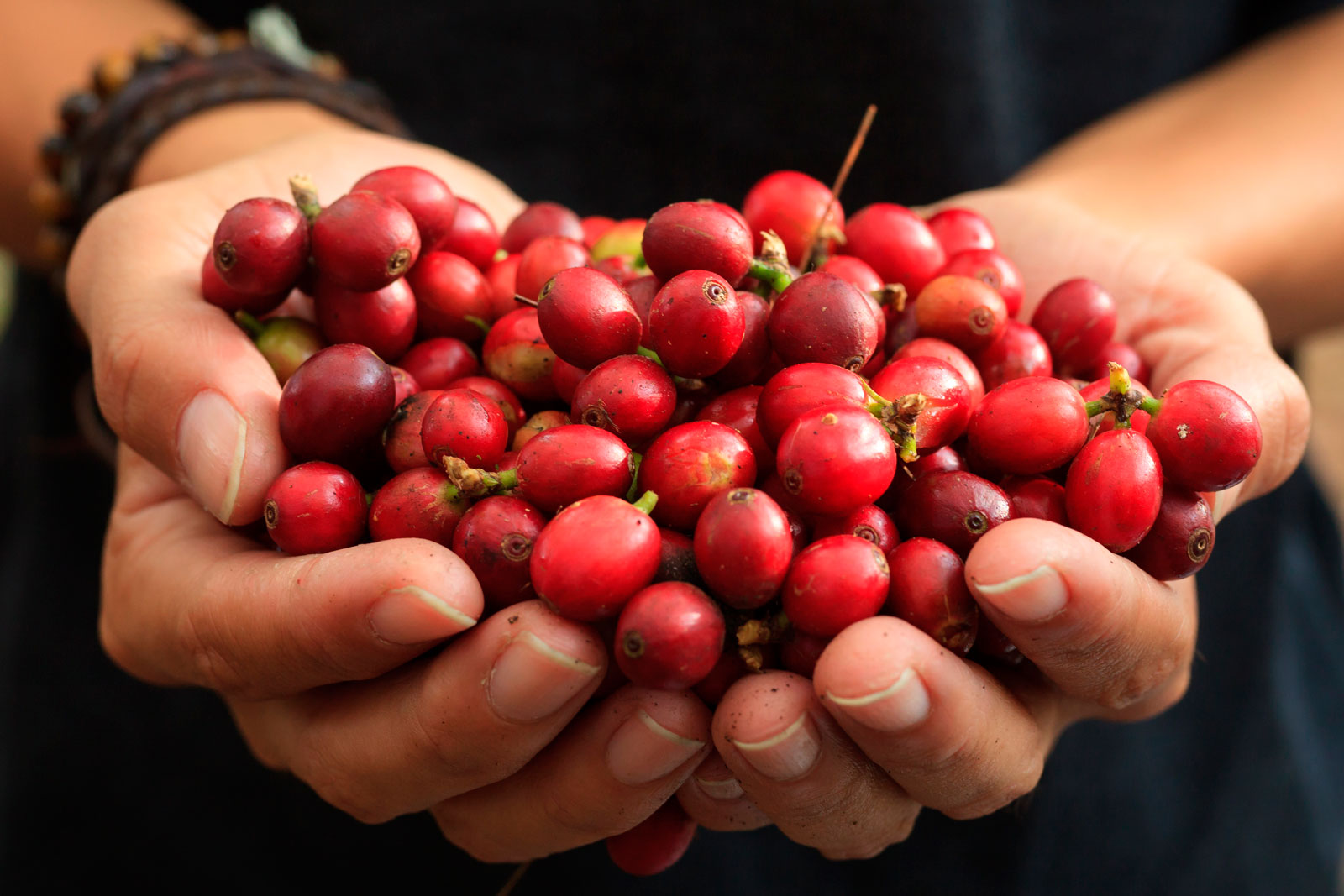 FirePower Coffee Roasters LLC in Keystone Heights, FL (5)