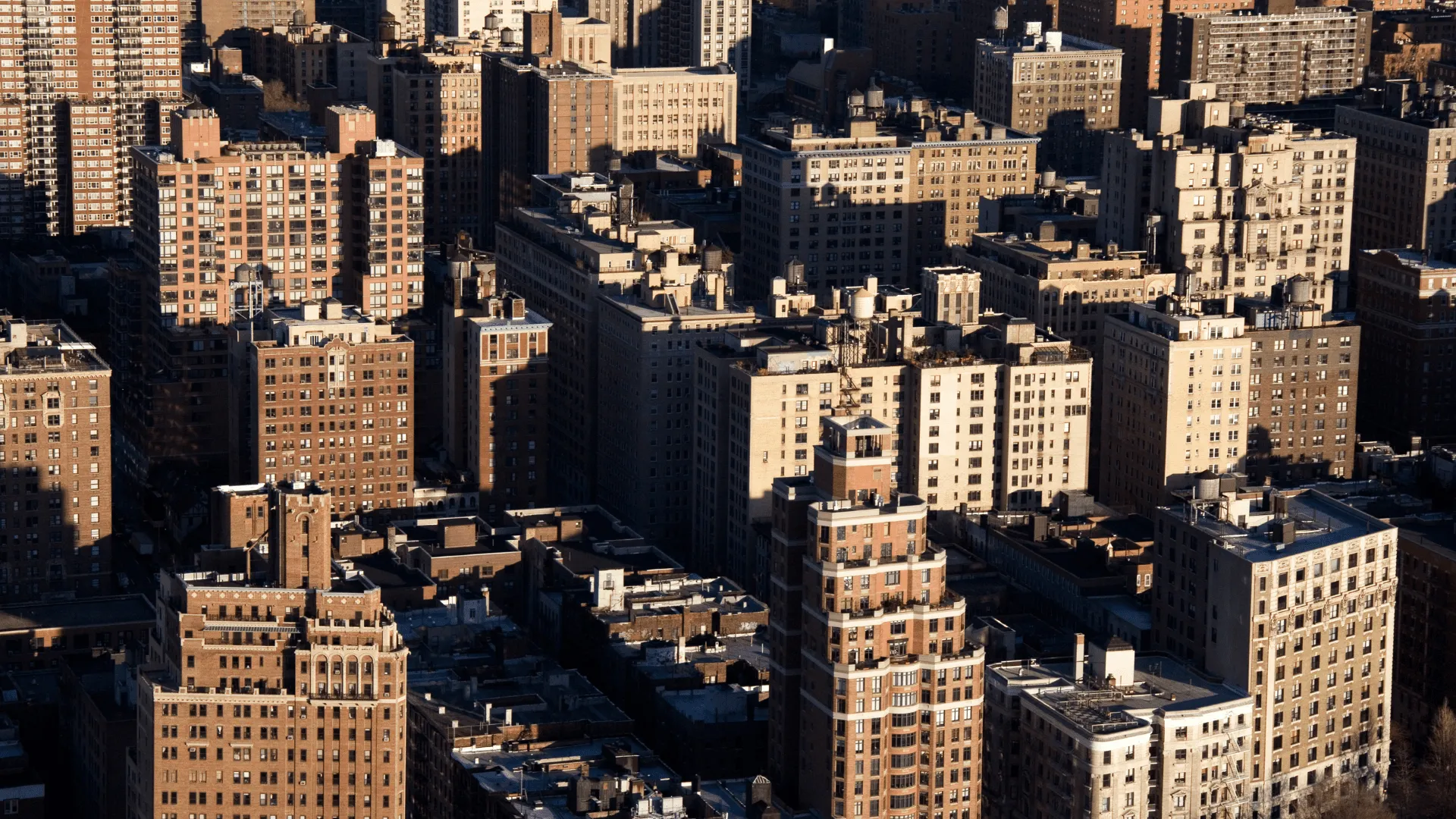 The Law Office of Paul D. Petrus, Jr. in New York, NY (3)