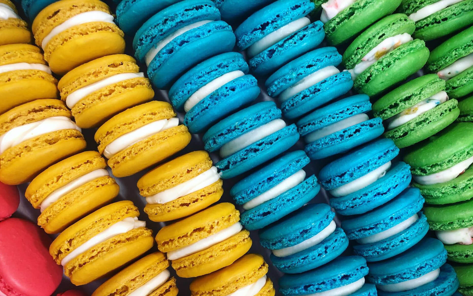 Fig Tree Patisserie in Buffalo, NY