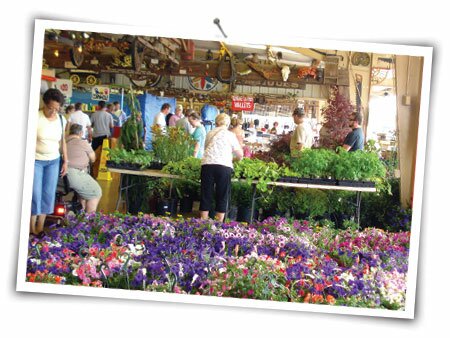 Traders World Flea Market in Lebanon, OH (3)