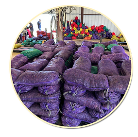 Denton Live Crawfish and Catering! in Denton, TX (5)