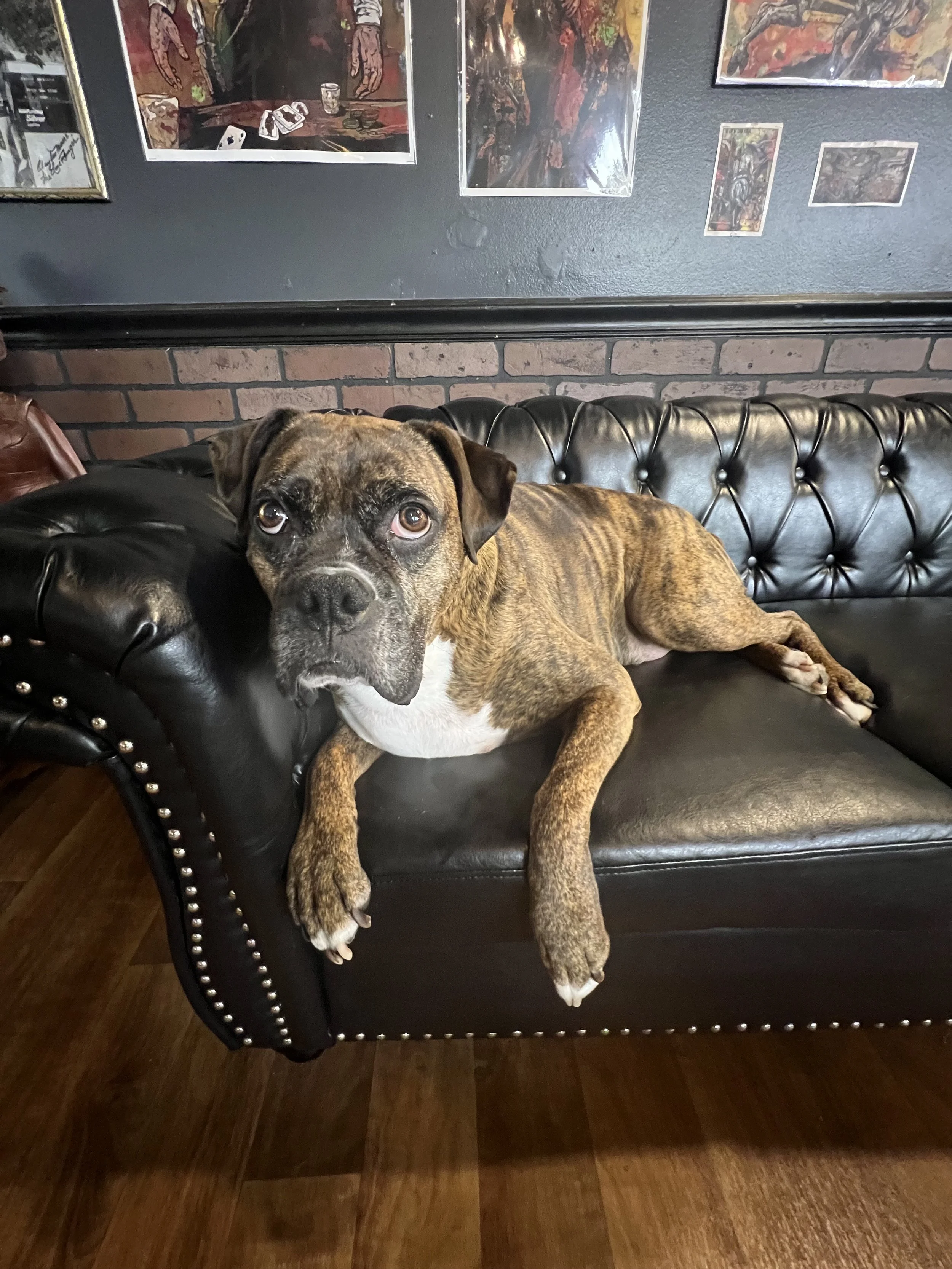 Braly's Barber Den in Goshen, IN (5)