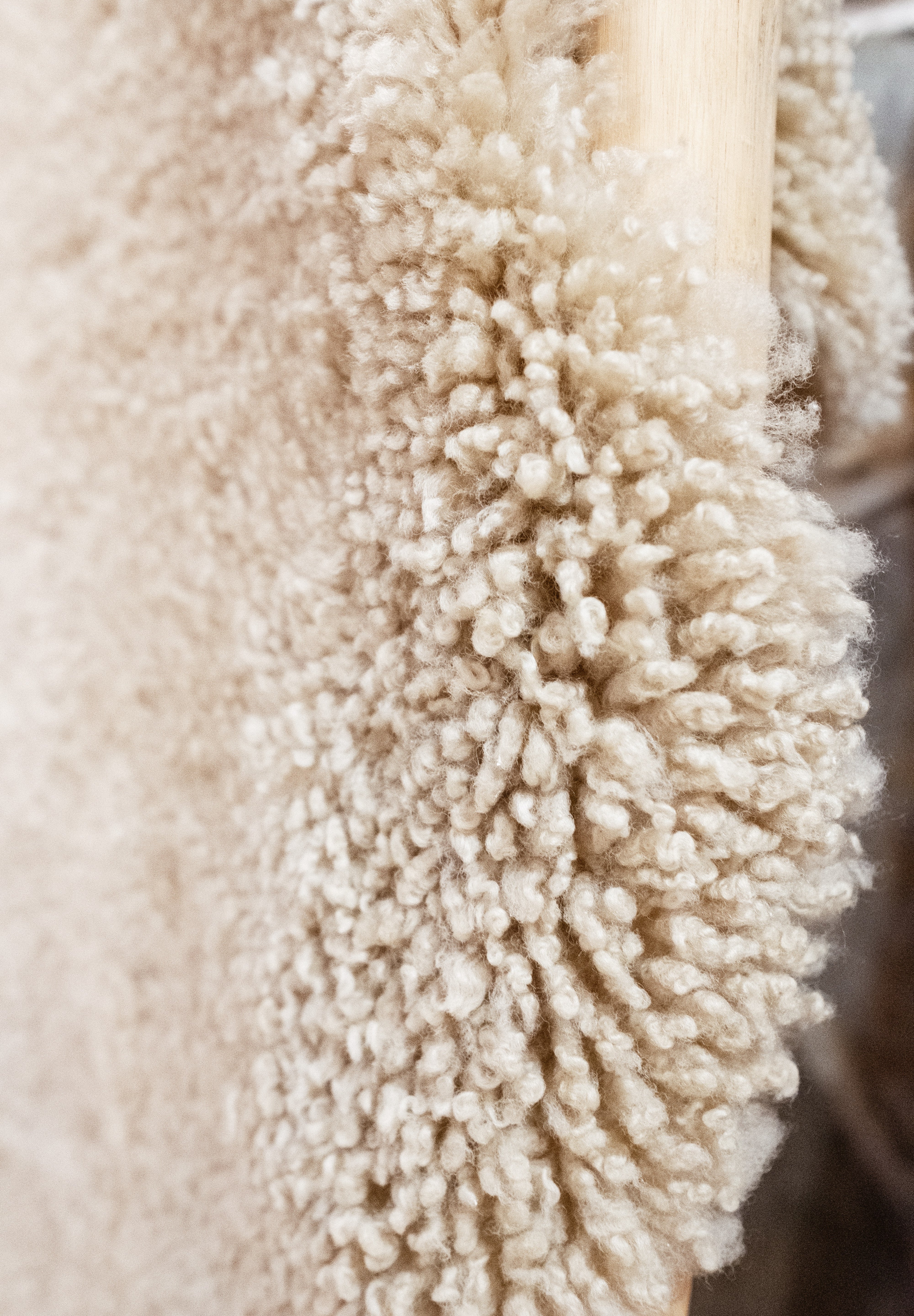 Fur Traders in Nevada City, CA