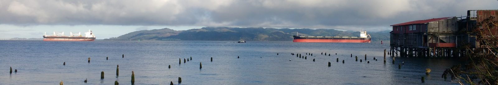 Kelly M. Stearns, Attorney at Law in Astoria, OR