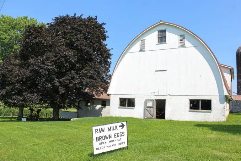 Black Walnut Dairy in Elizabethtown, PA (5)