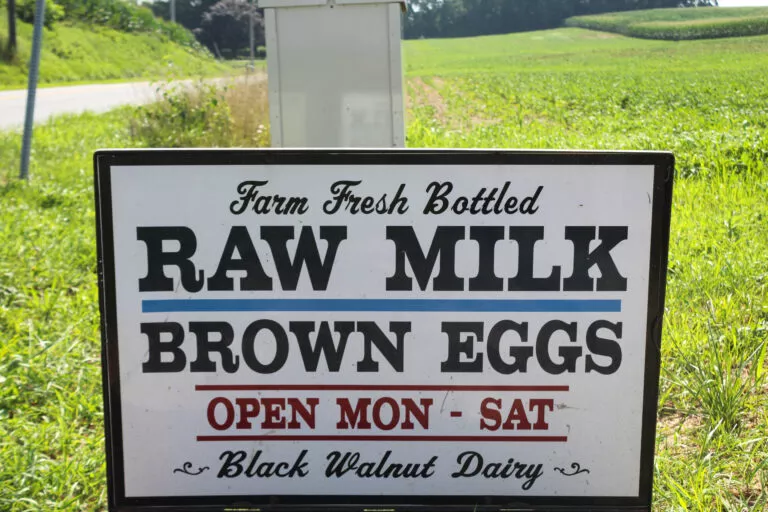 Black Walnut Dairy in Elizabethtown, PA (6)