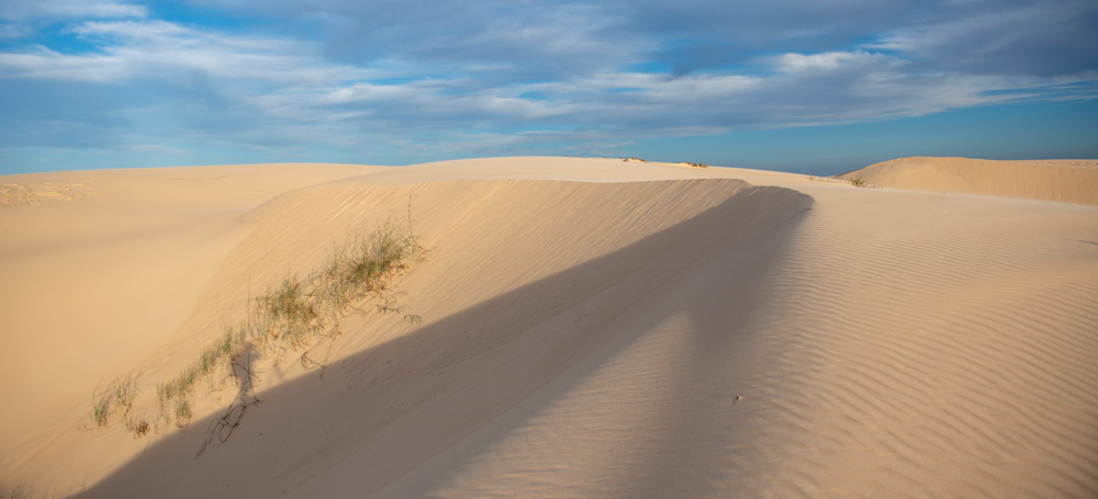 Monahans Sandhills State Park in Monahans, TX (5)