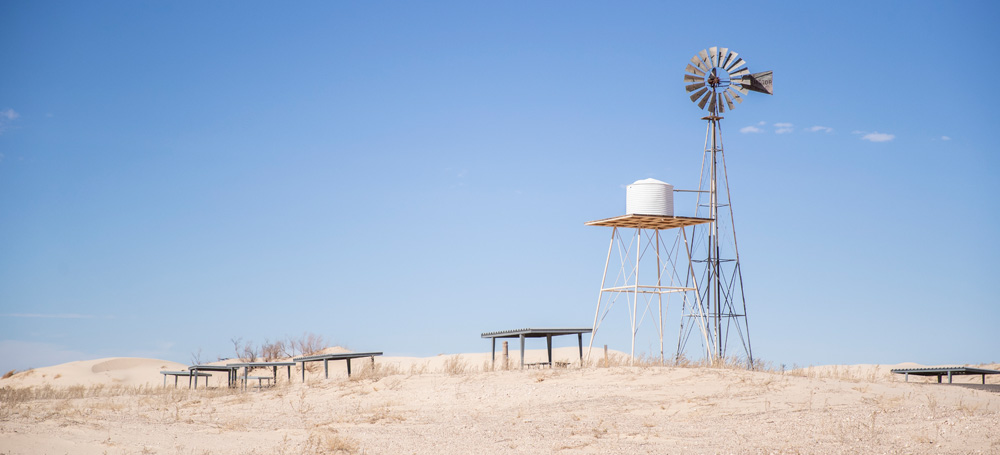 Monahans Sandhills State Park in Monahans, TX (6)