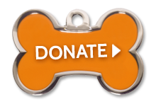 Blue Ridge Humane Society - Thrift Store in Hendersonville, NC (4)