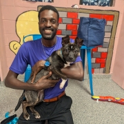 Blue Ridge Humane Society - Thrift Store in Hendersonville, NC (5)