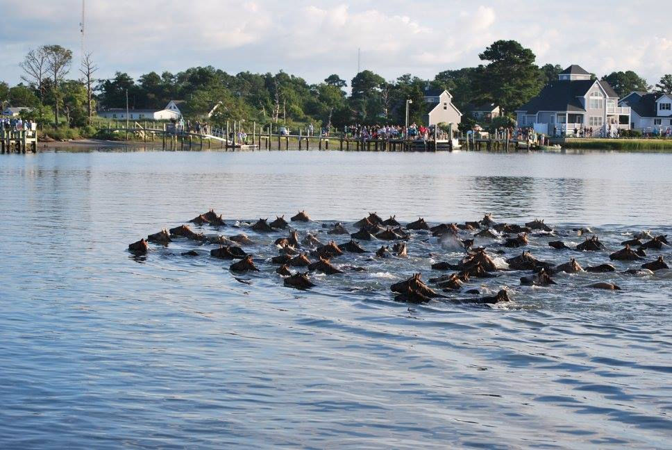 Eastern Shore Properties Inc in Chincoteague, VA
