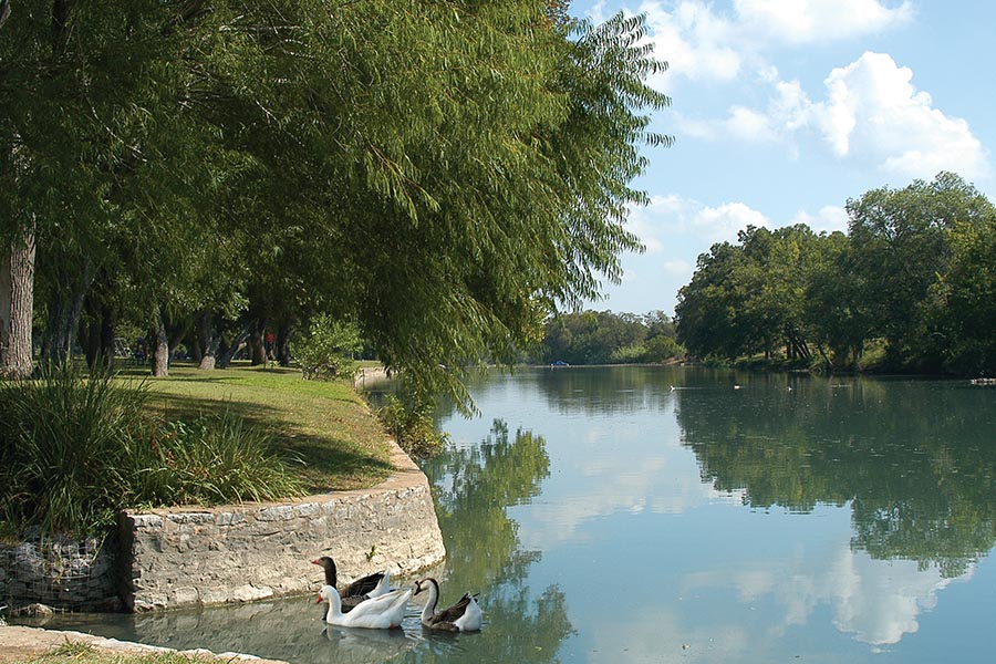 Ross & Champion CPA's in Georgetown, TX (2)