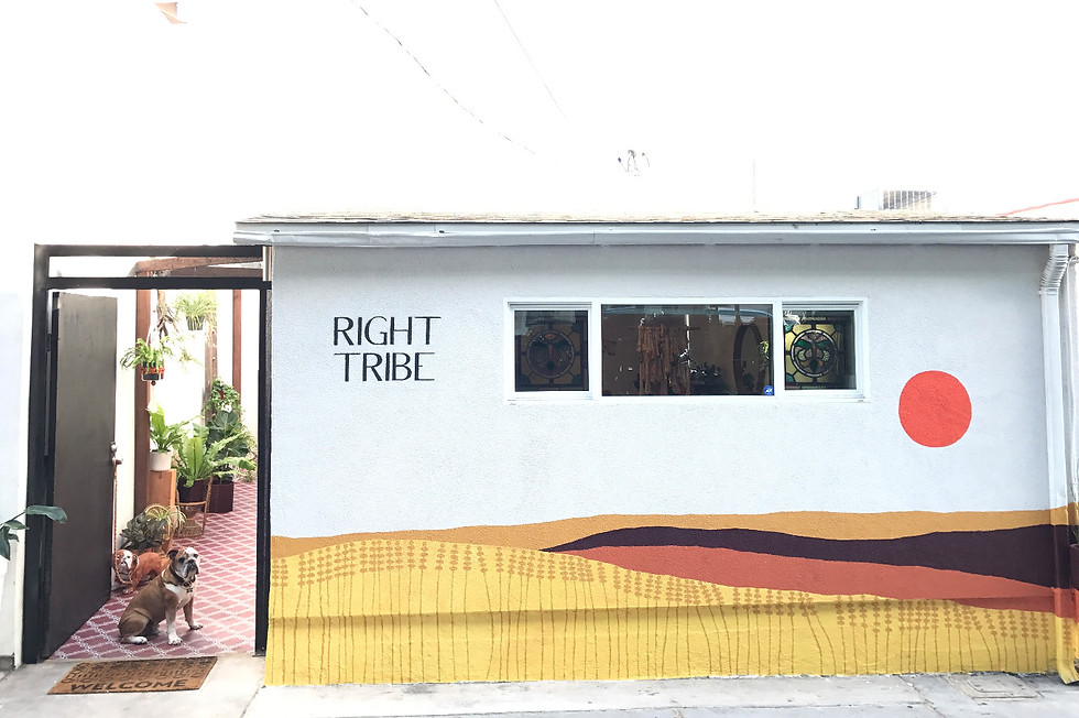 Right Tribe in Manhattan Beach, CA (2)