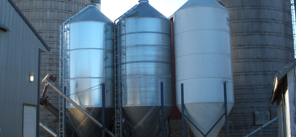 More-To-Do Farms LLC in Durand, WI (2)