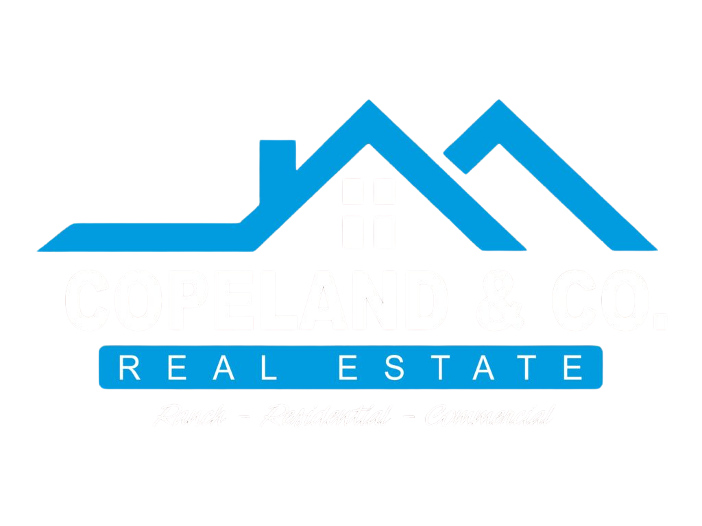 Copeland and Co. Real Estate in Eastland, TX (3)