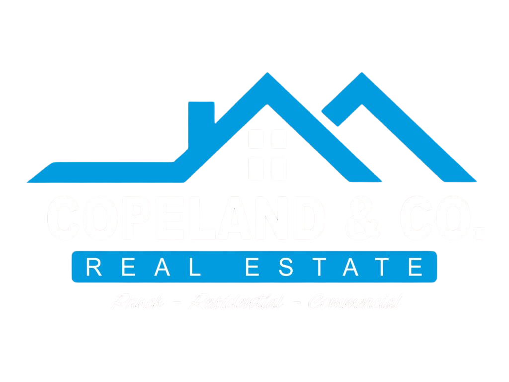 Copeland and Co. Real Estate in Eastland, TX (4)