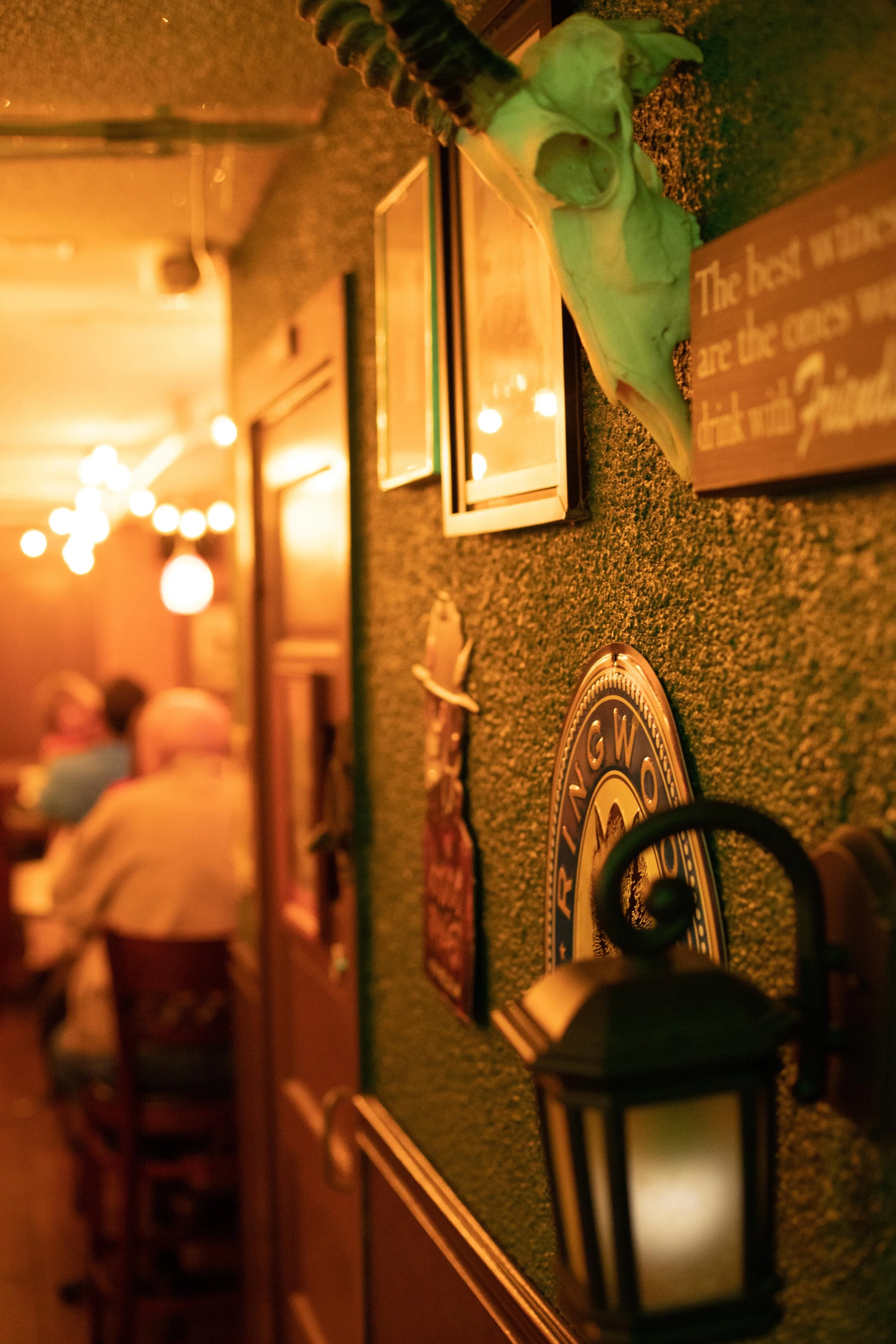 The Frog and Monkey Restaurant & Pub in Mt Dora, FL