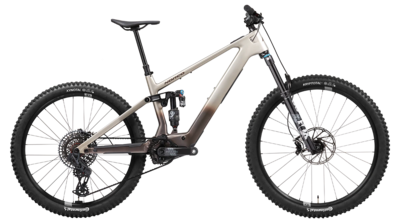 Squatch Bikes & Brews in Brevard, NC (5)