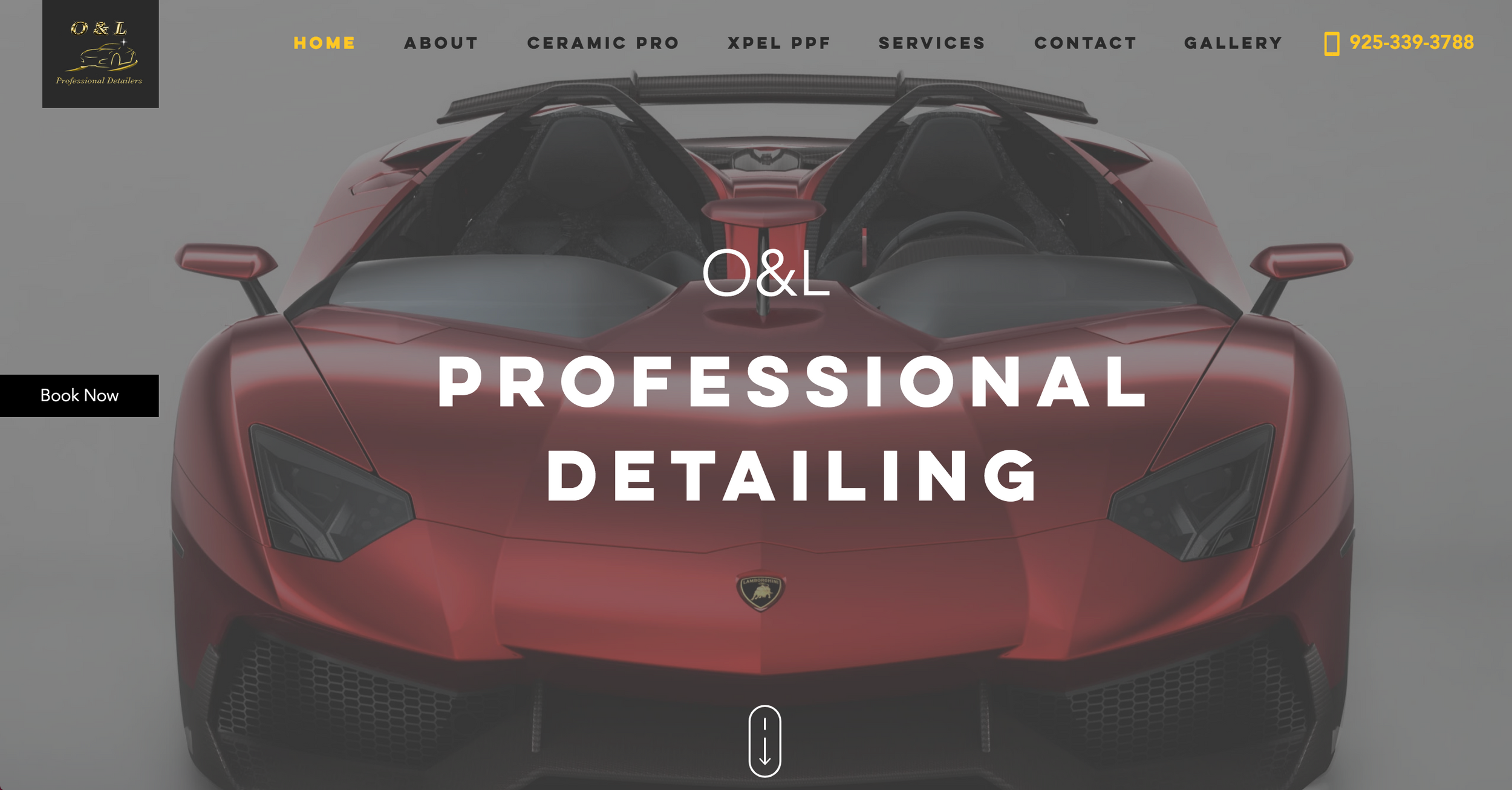 O & L Professional Detailers/Ceramic Coating / PPF / Clear Bra / Ultimate Hand Car Wash in Pleasanton, CA