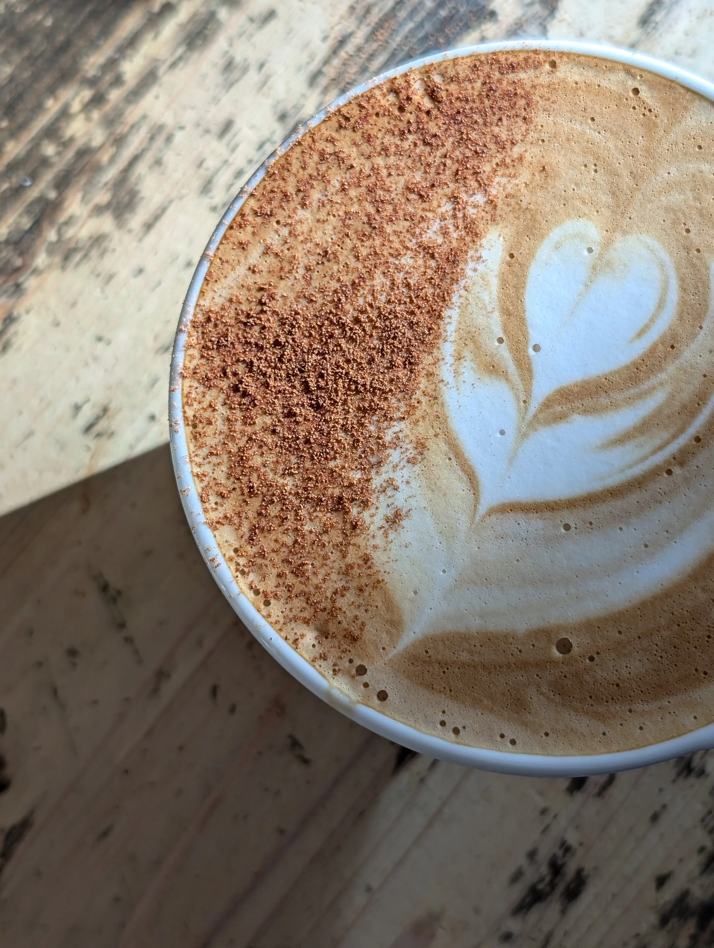 Coffeeology in Delaware, OH (2)
