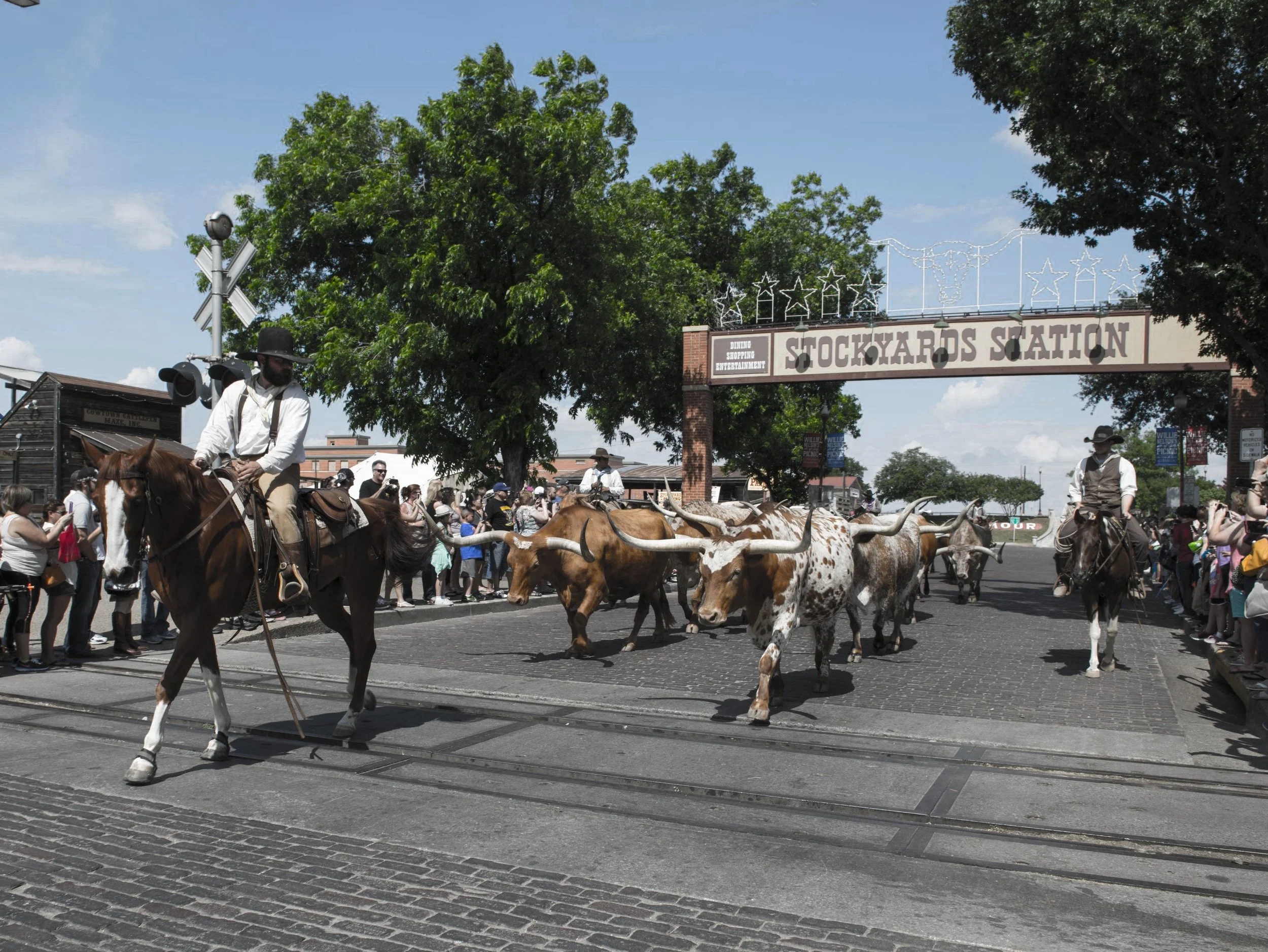Donna R Rutter CPA PC in Fort Worth, TX (3)