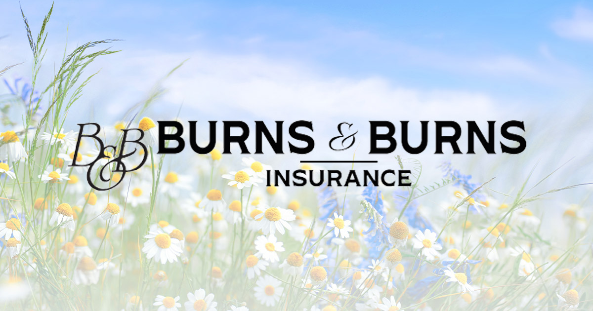 Burns & Burns Insurance in Tionesta, PA (2)