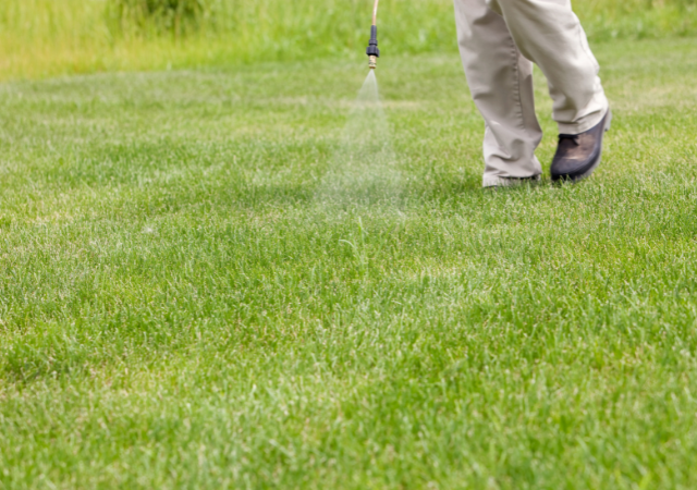 Lark Lawn & Landscape in Butler, PA