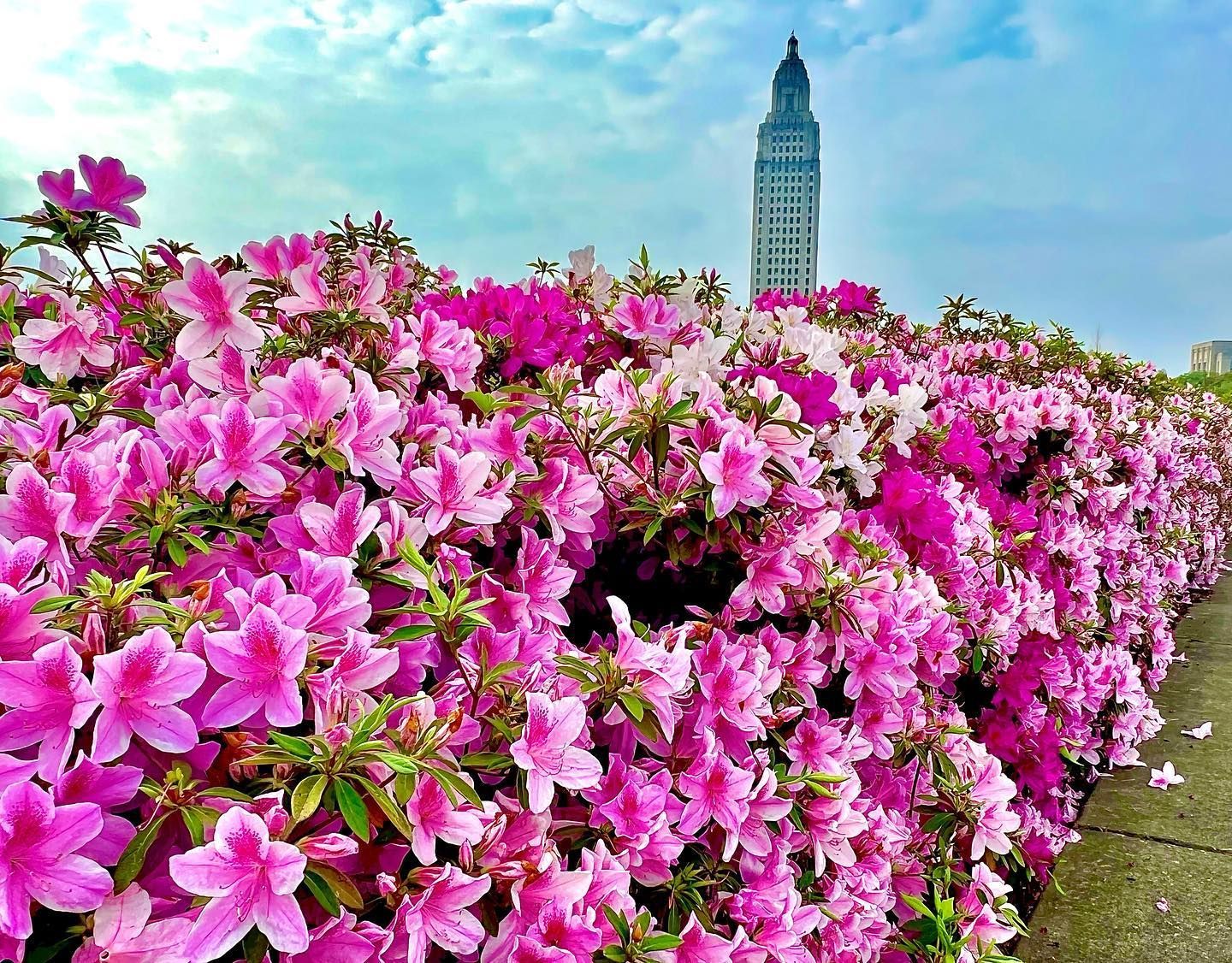Kidder & Schultz CPAs in Baton Rouge, LA